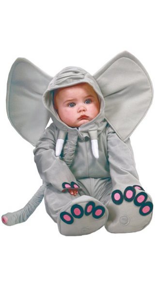 elefante bebé